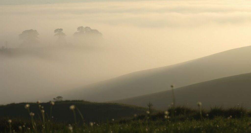 Creative Captions for Foggy Weather